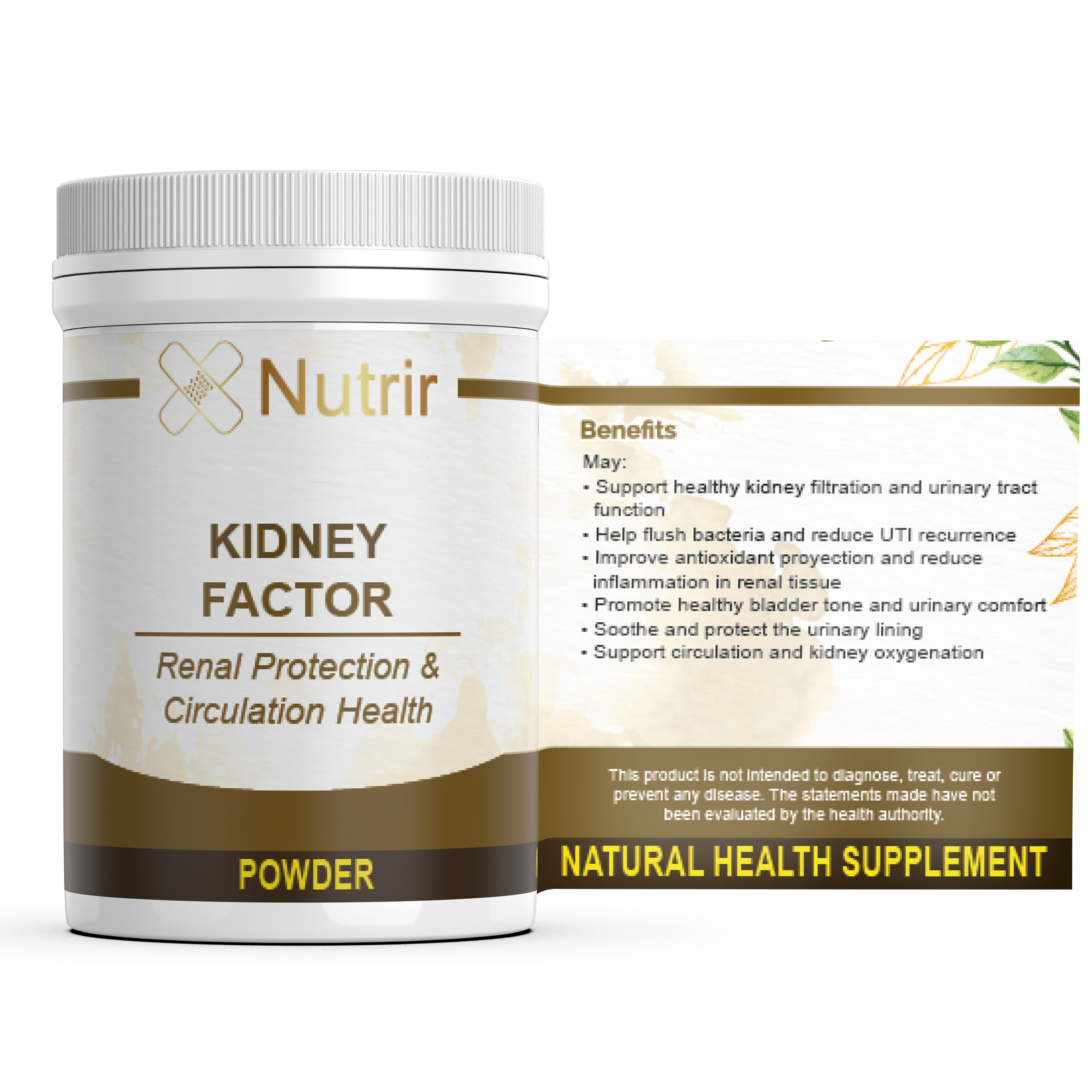 KIDNEY FACTOR